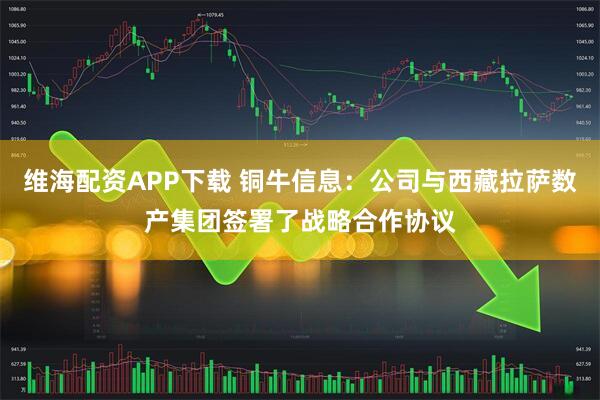 维海配资APP下载 铜牛信息：公司与西藏拉萨数产集团签署了战略合作协议