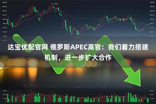 达宝优配官网 俄罗斯APEC高官：我们着力搭建机制，进一步扩大合作